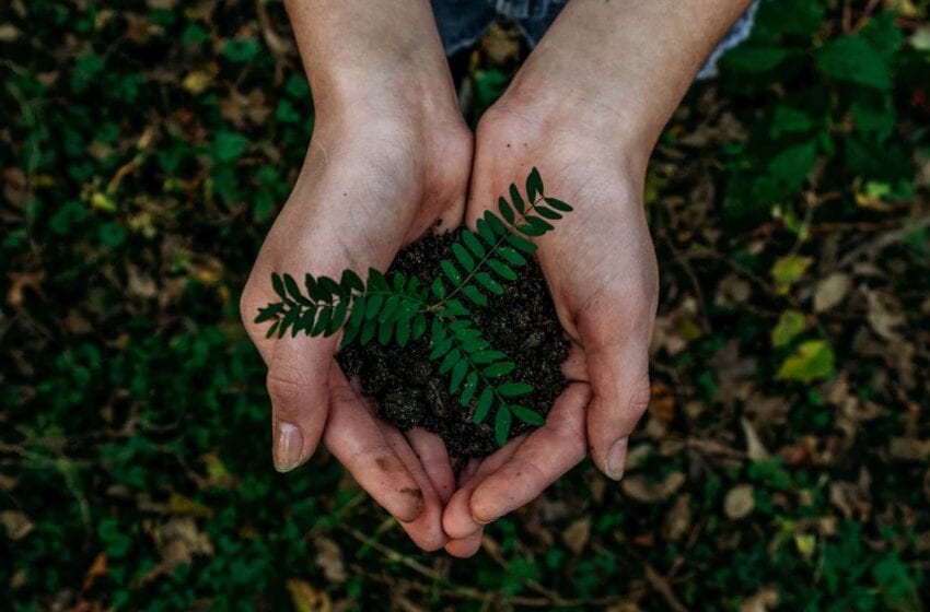  Sendcloud, 5 modi in cui i rivenditori online possono ridurre il loro impatto ambientale