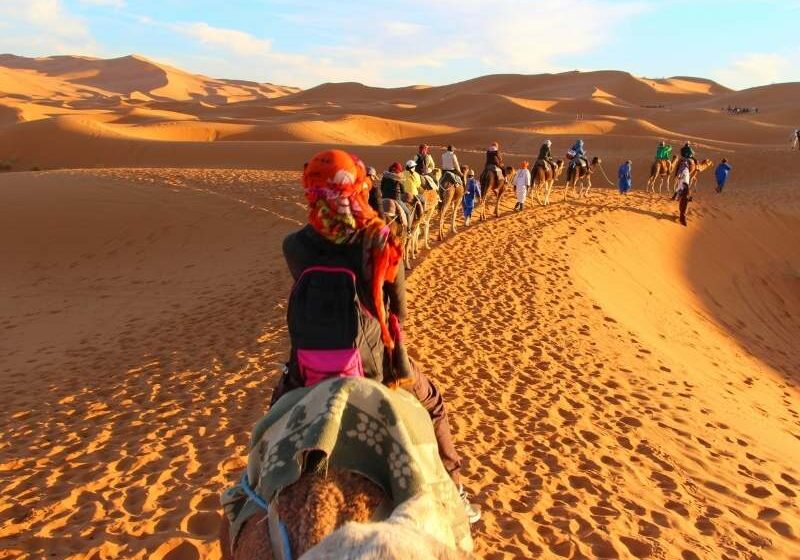  Gli Occhi del Marocco Tours si affida ad Orto Creativo