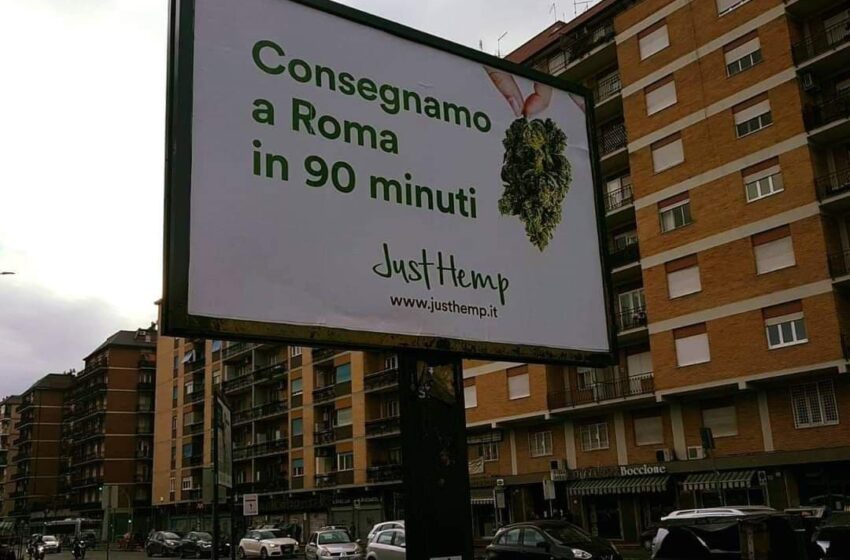  Just Hemp: il delivery di cannabis light punta a un milione di fatturato e sogna l’exit