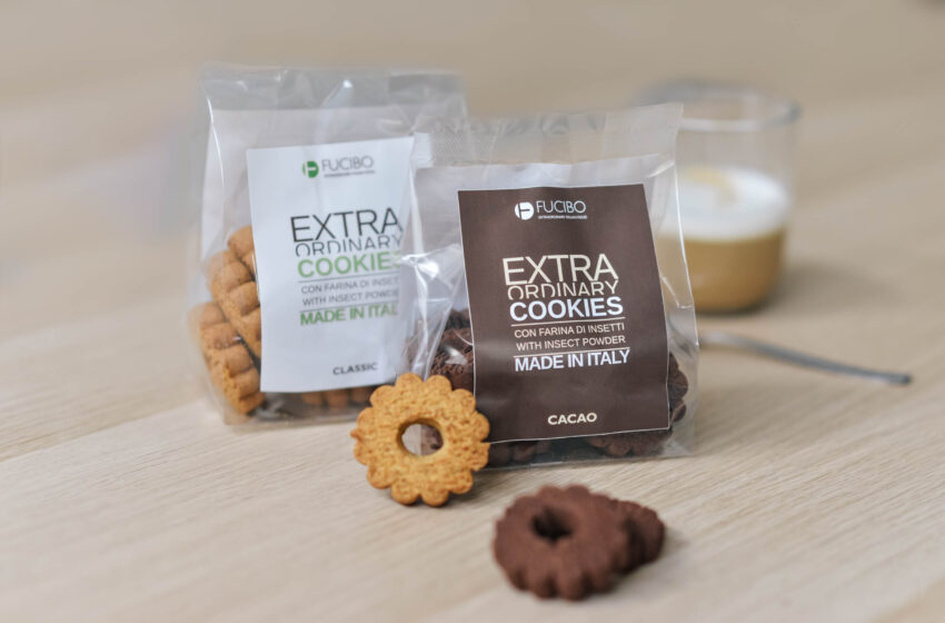  Fucibo: dopo le patatine ecco i biscotti agli insetti, è il nuovo trend per i food lover