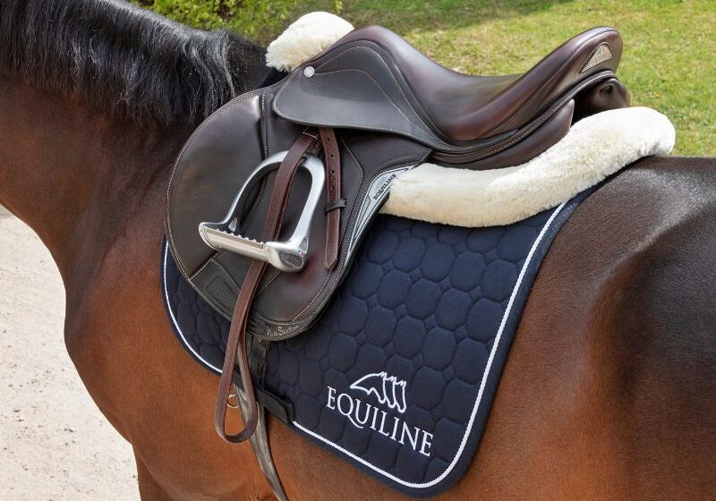  Equiline si affida alla consulenza SEO di Fattoretto Agency