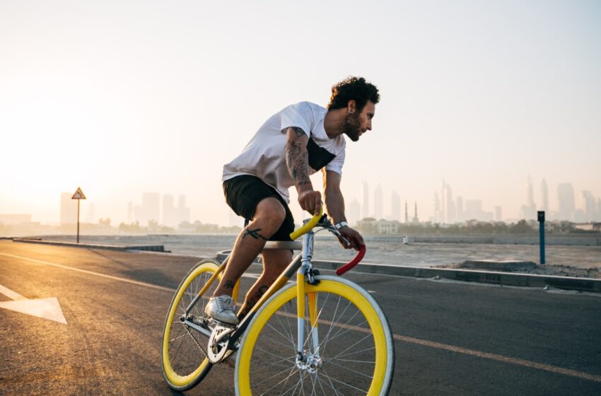  Indagine idealo – Biciclette: boom per riparazioni e manutenzioni, mentre calano i nuovi acquisti
