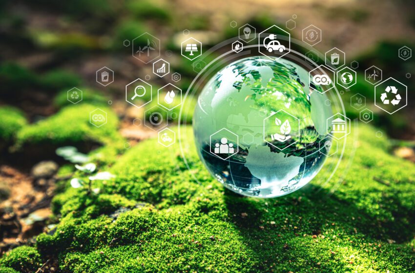  AGGAER traccia la rotta: il Report sull’Impatto ESG 2024 eleva il procurement a motore di sostenibilità aziendale