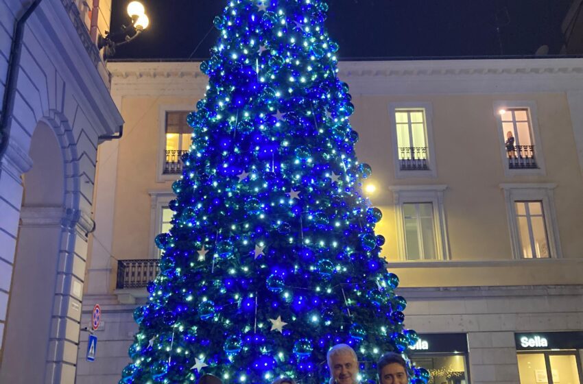  ALESSANDRIA SI RIACCENDE PER LE FESTE: L’ALBERO DI NATALE DONATO DA PAGLIERI PORTA NUOVA LUCE IN PIAZZA DELLA LIBERTÀ