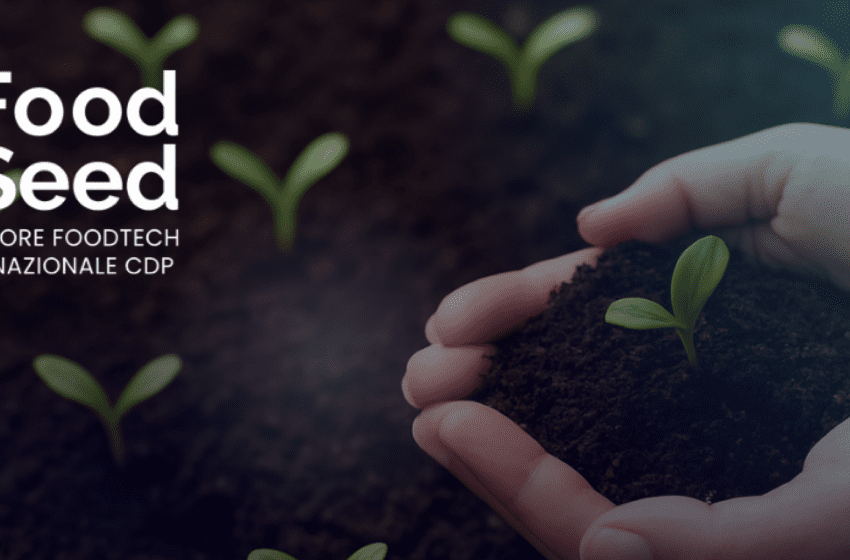  FoodSeed annuncia la Call4Startups 2026: investimento iniziale a 250mila euro per ogni startup selezionata
