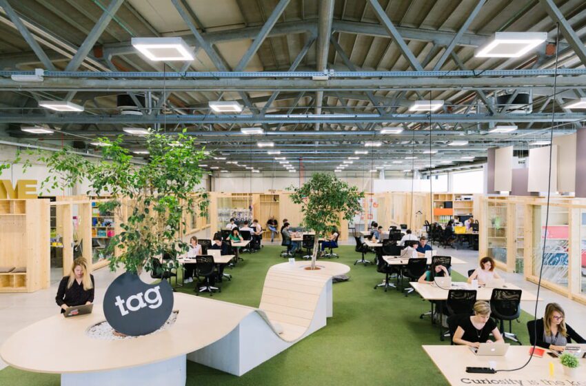  Intelligenza artificiale, cresce del 40% la domanda di Chief AI Officer. Talent Garden lancia il primo AI MBA in Italia per formarli
