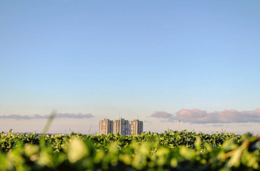  Edilizia e transizione green: sostenibilità, tecnologie e professionisti del cambiamento