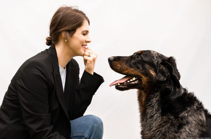  Estate, oltre l’80% dei cani anziani soffre di problemi articolari. I consigli del veterinario e le 6 migliori destinazioni pet friendly per un weekend fuori porta