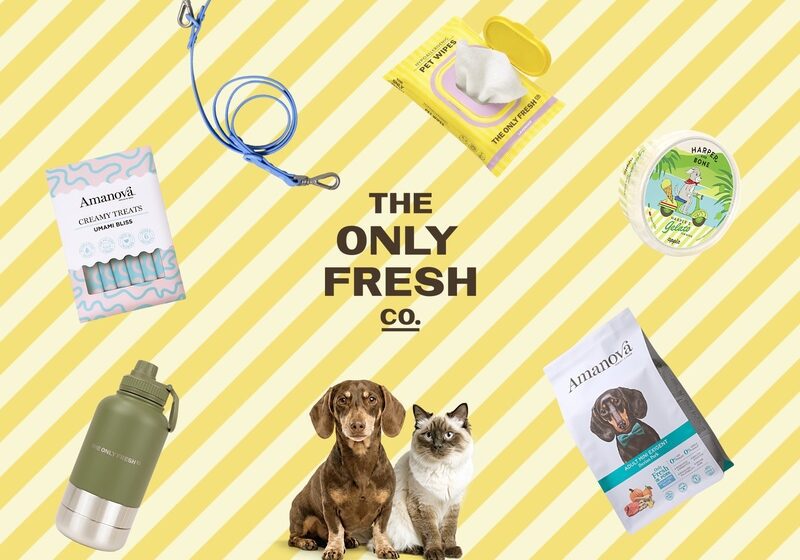  Gara internazionale vinta: Fattoretto Agency guiderà l’espansione SEO di The Only Fresh Company