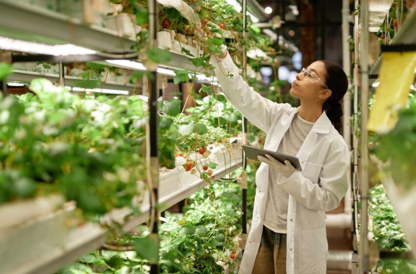  AL VIA LA SECONDA EDIZIONE DI “FOODTECH INCUBATOR”: APERTA LA CALL4PROJECTS